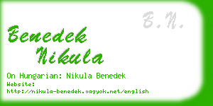 benedek nikula business card
